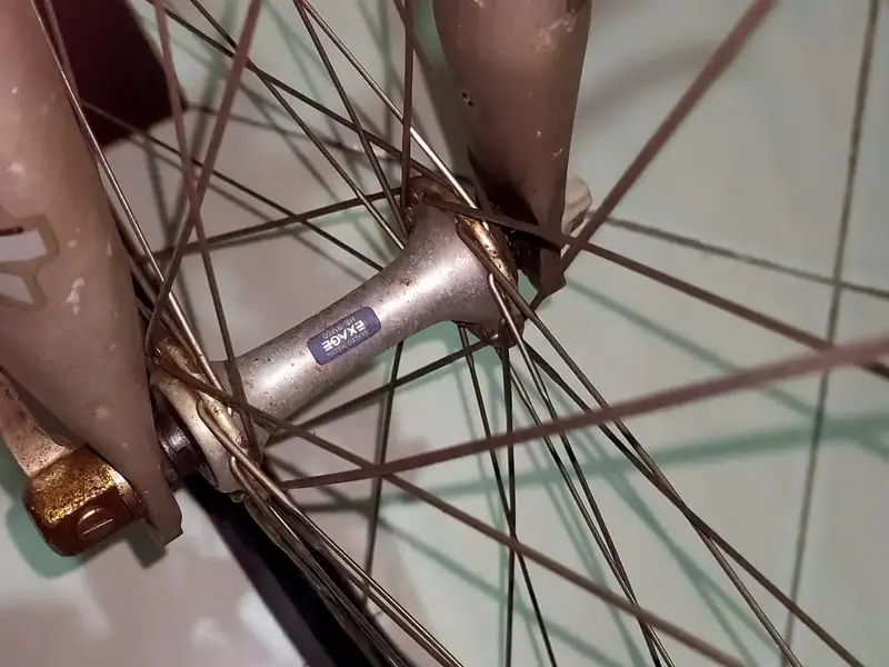 Front Hub.webp