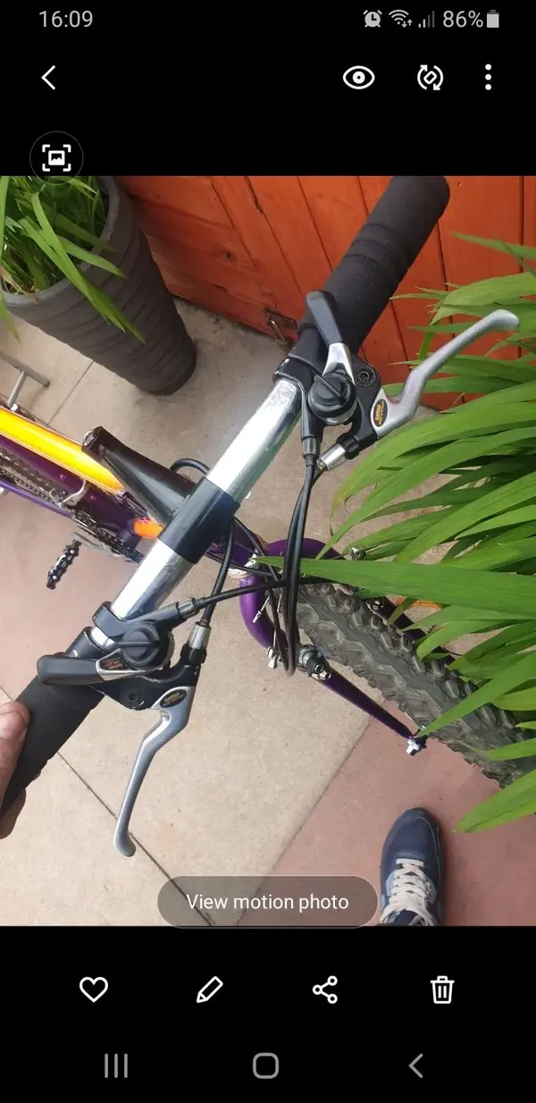 Screenshot_20200810-160943_Gallery.webp