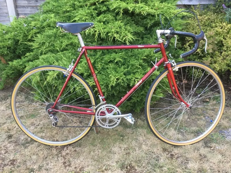 Bike 6.webp