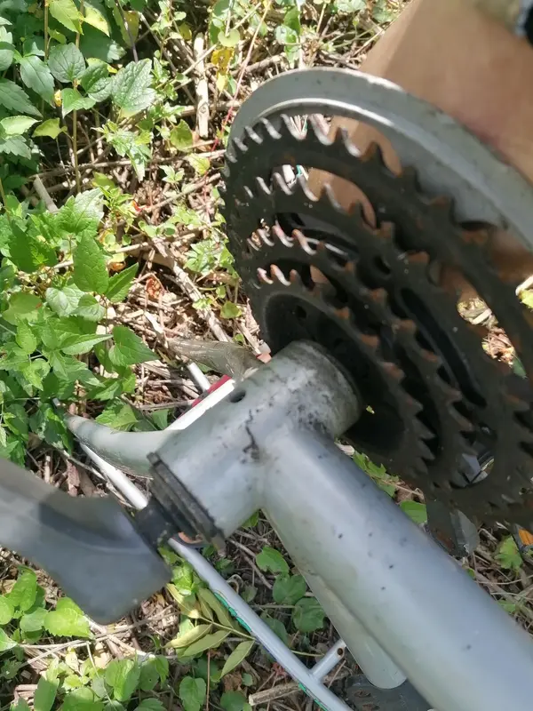 24 SPEED.webp