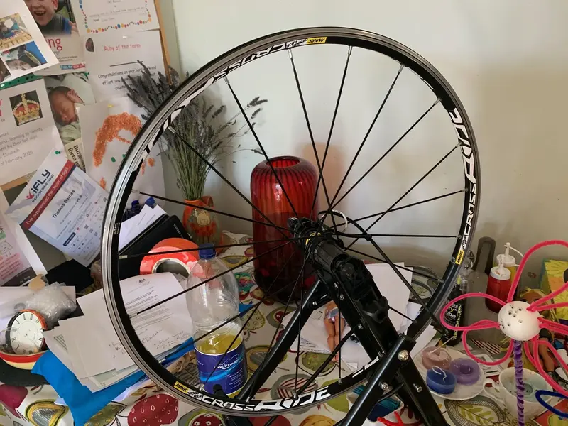 image7.webp