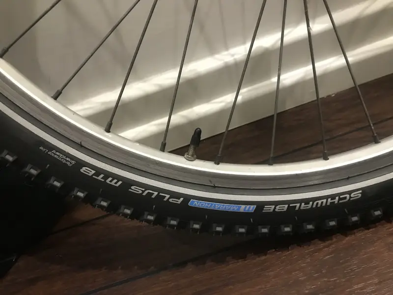 Wheels 6.webp