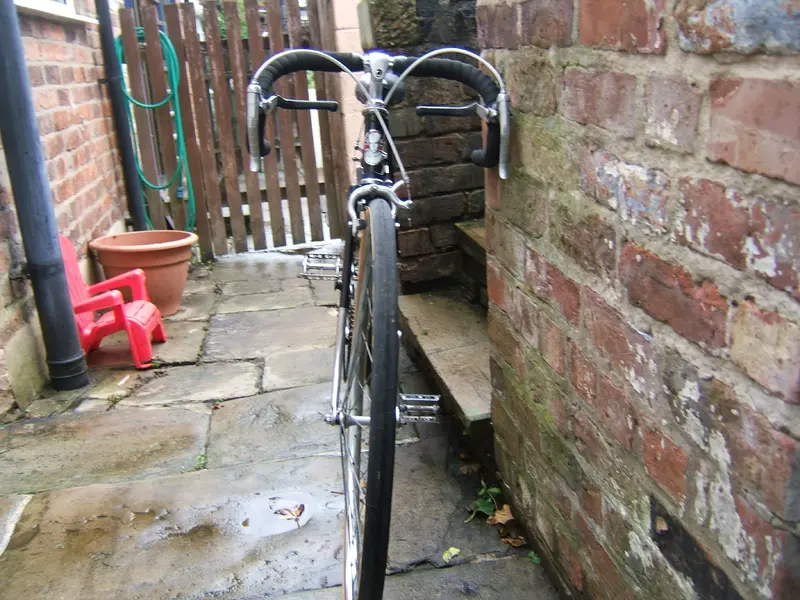 DSCF5254.webp