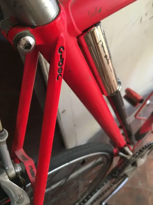 Rider stay.webp