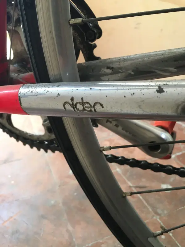 rider chain.webp