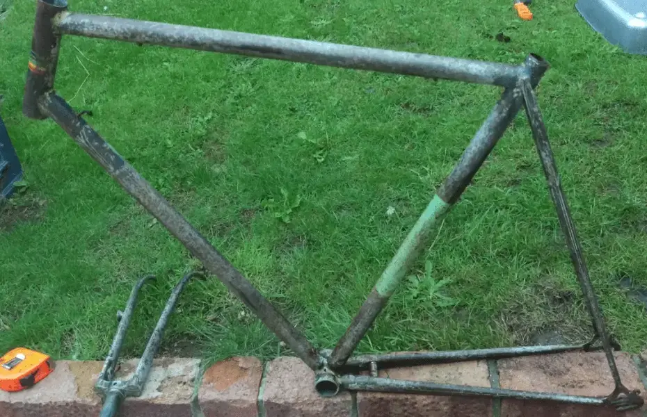 Frame & forks.webp