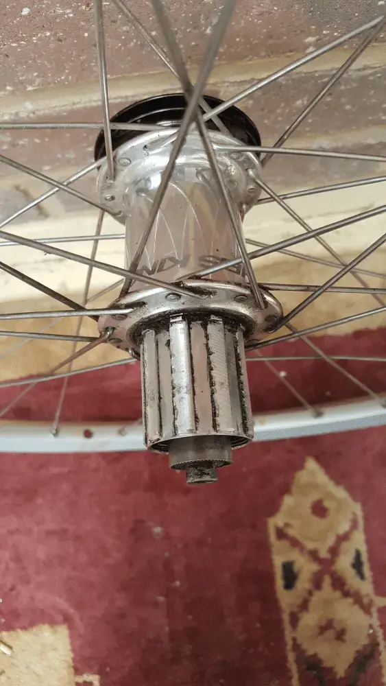 CKrearhub2.webp