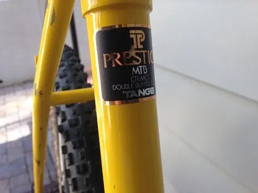 Early 1987 Muir Wood 2.webp