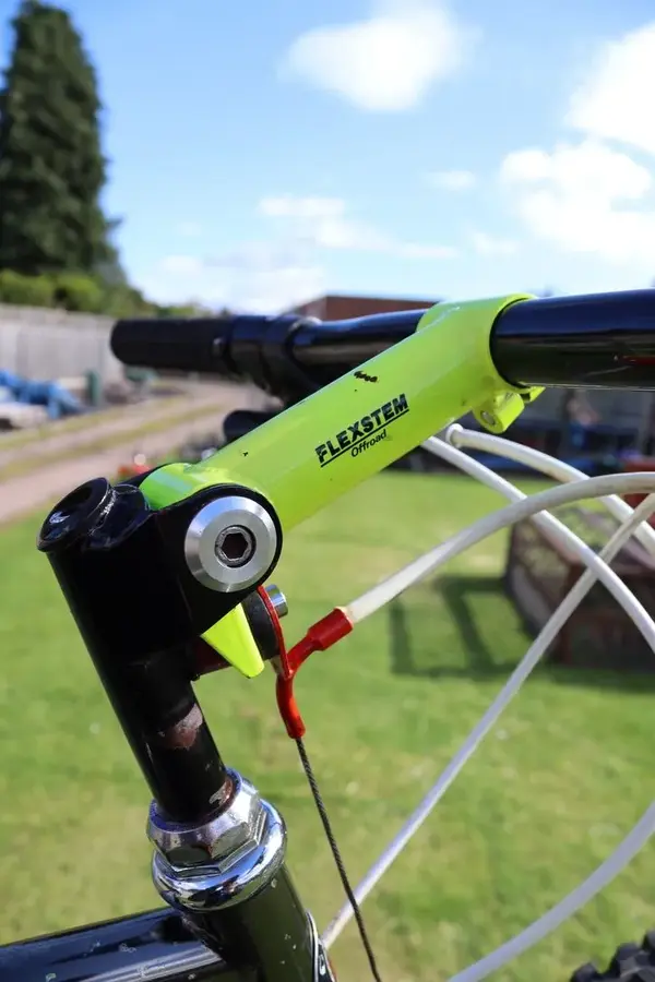 Flex stem.webp