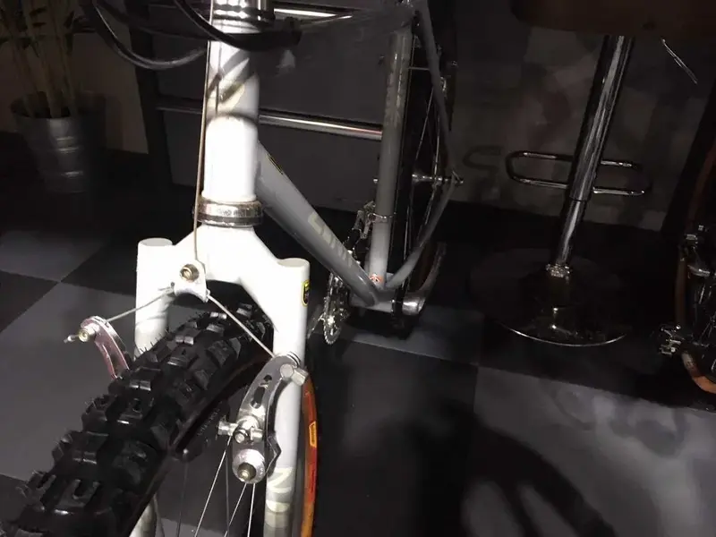 Late Campag..webp