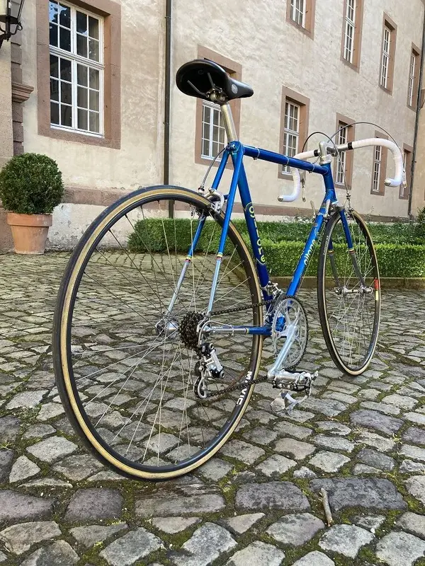 gitane bleu_rear.jpg