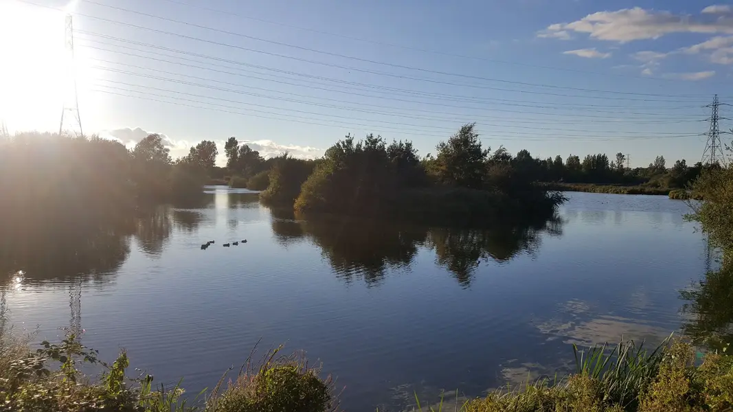 20200908_182640.webp