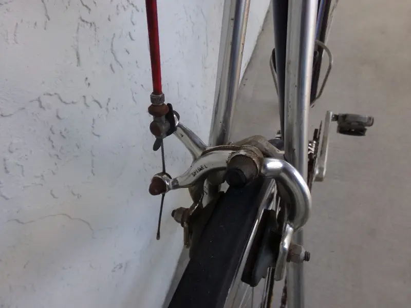 100_0042.webp
