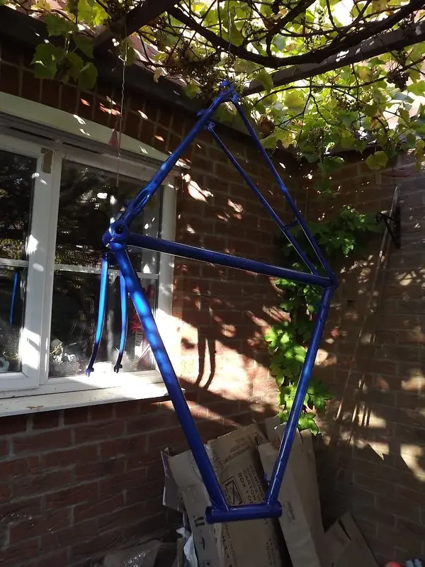 DSCF4623.webp