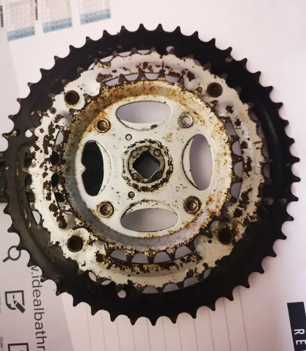 Chainring2.webp