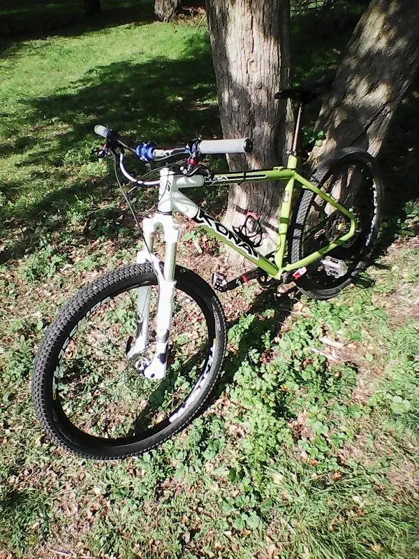 Renthal grips.webp