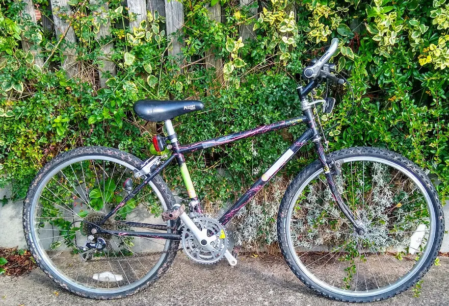 IMG_20200912_163503786_HDR.webp