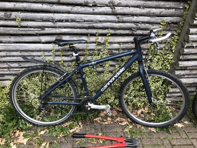 Cannondale01.webp