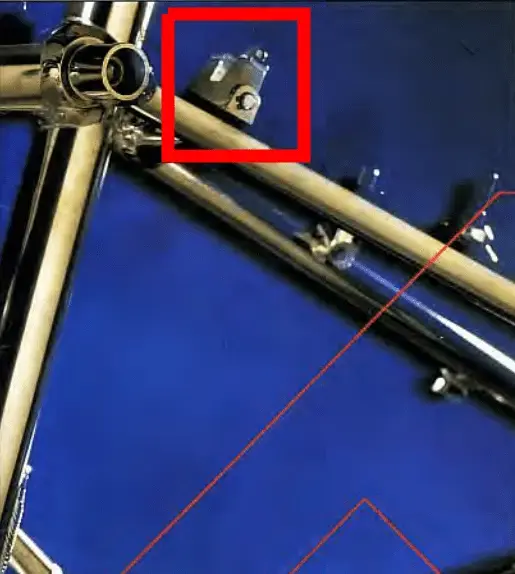 Canti.webp