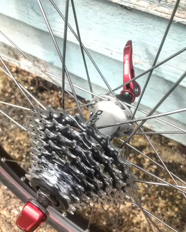 kona3.webp