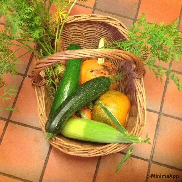 image.webp