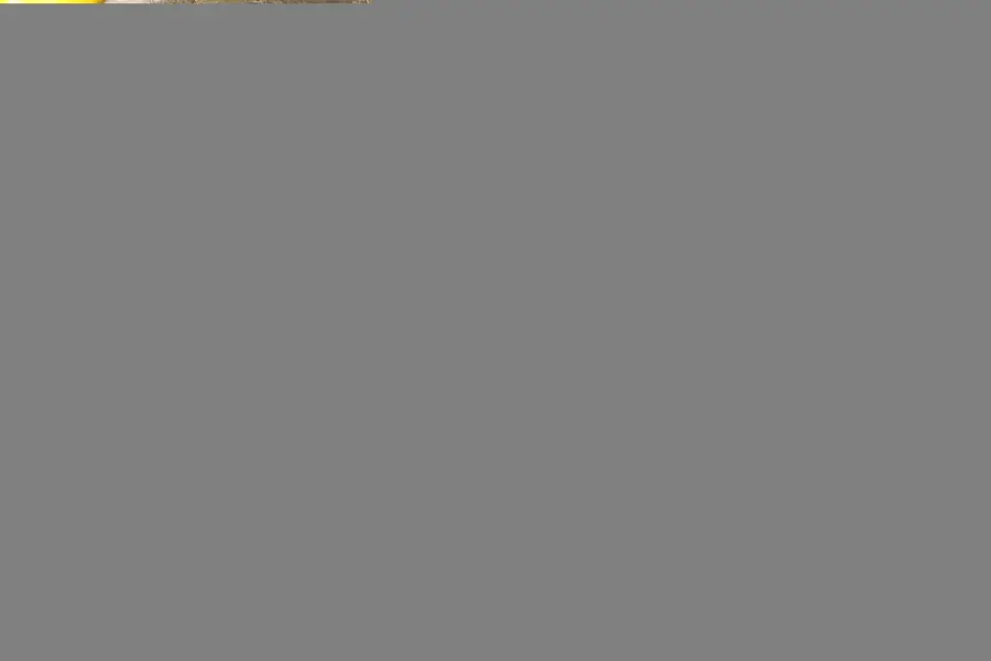Klein_Paint_Sunny.webp