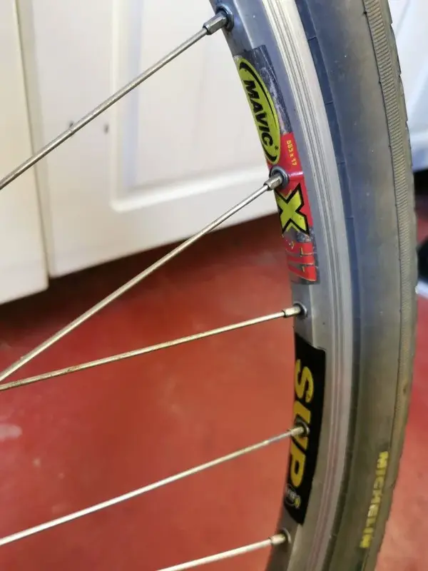 Rims.webp
