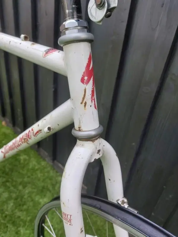 stumpjumper 90 start2.webp