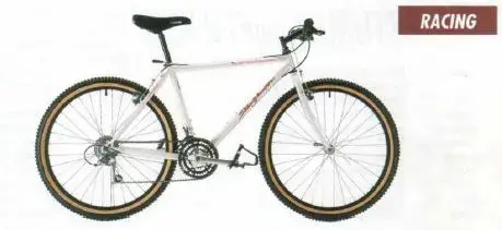 1990 stumpjumper comp.webp