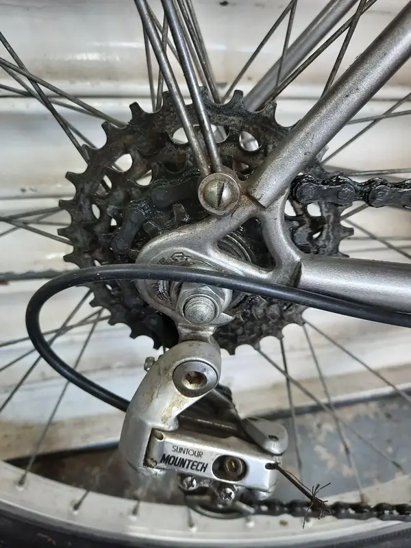 Rear Suntours.webp