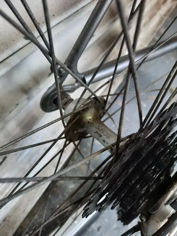 Suntour Sealed Bearing 01.webp