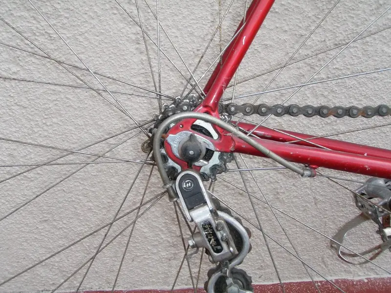 PA230211.webp