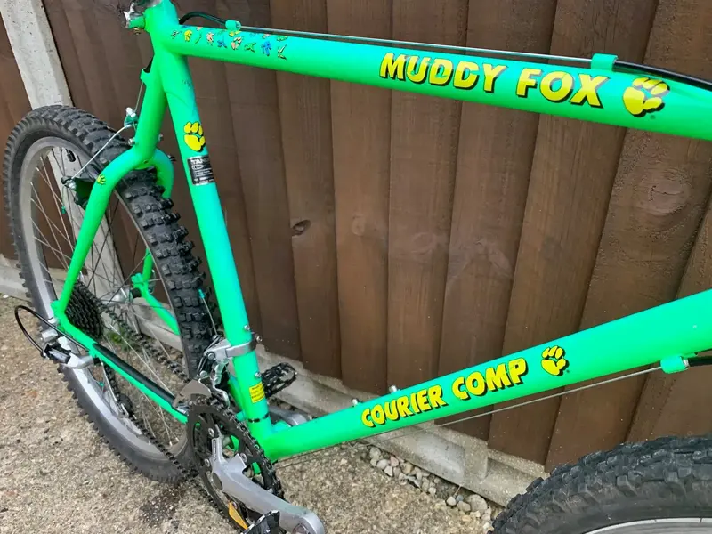 M Fox 3.webp