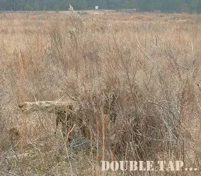 sniper.webp