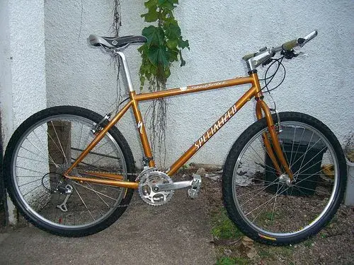my stumpy.webp