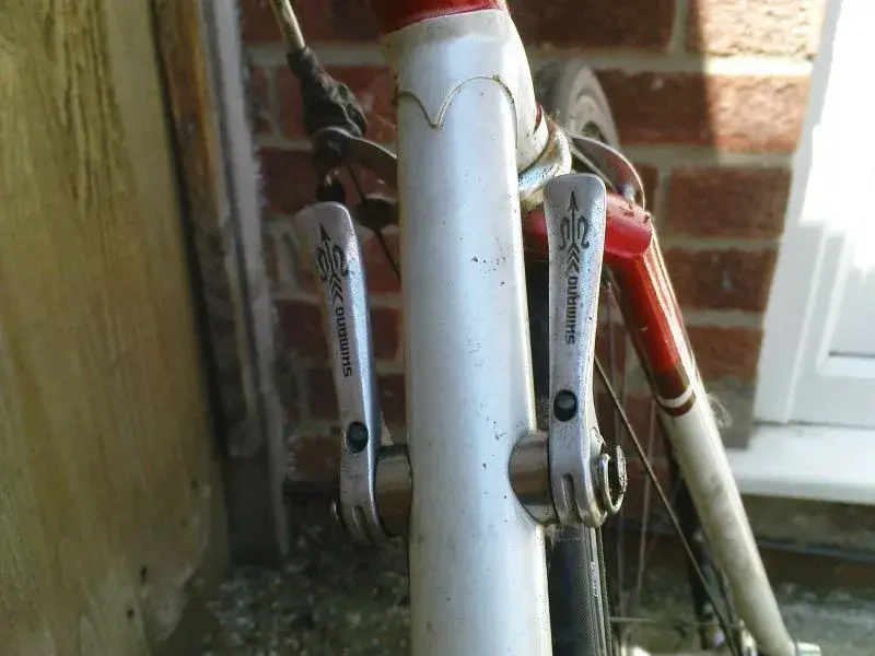 Arabesque levers.webp