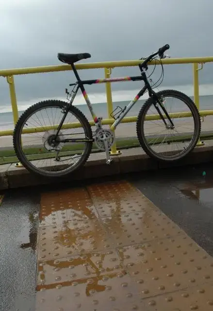 Damp.webp
