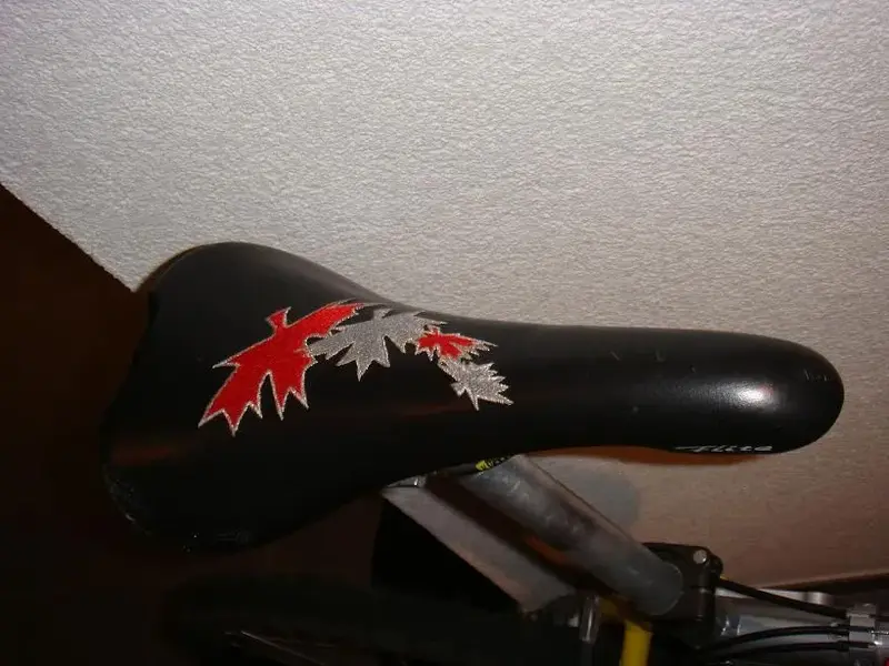 DSC03440.webp