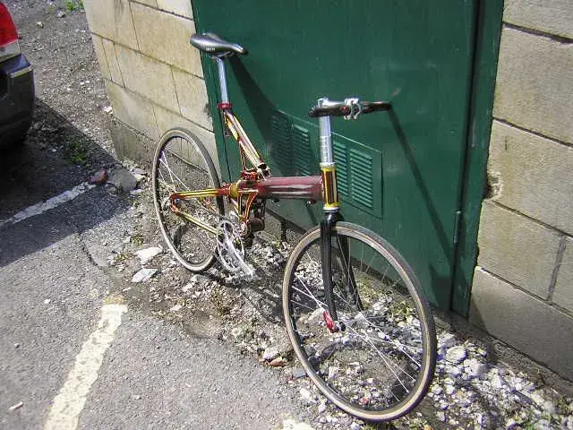 DSCN5092.webp