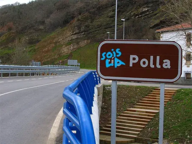 Excursi%F3n-R%EDo-Polla.webp