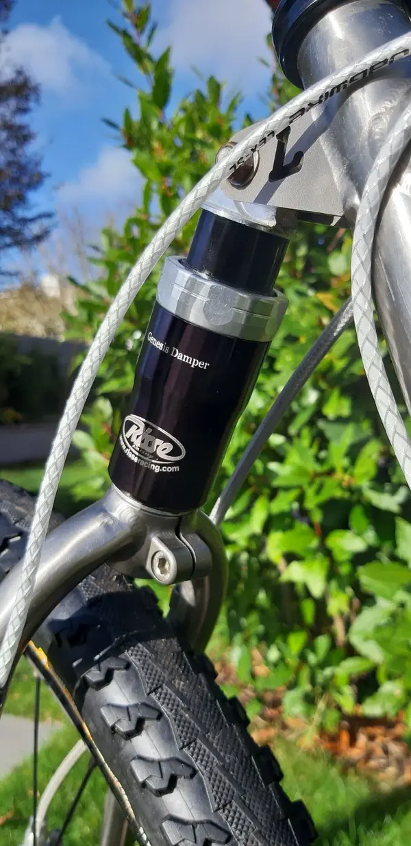 rear shock.webp