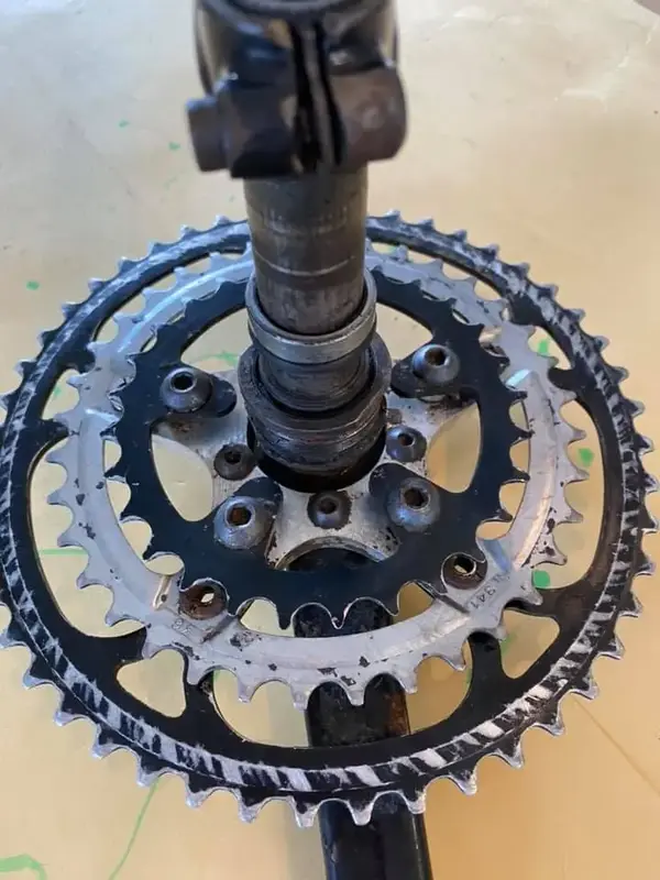 123515736_3390192591036634_117189099868341503_n.webp
