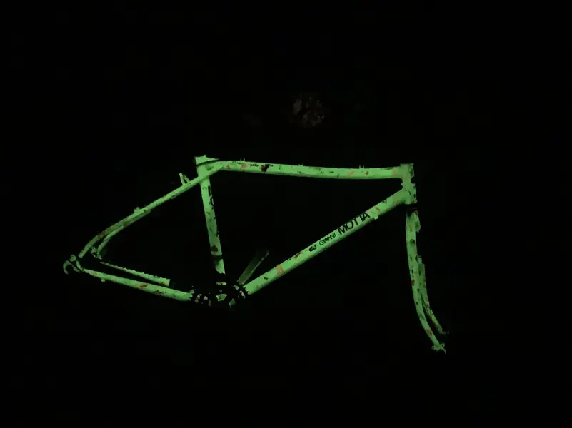 IMG-8100.webp