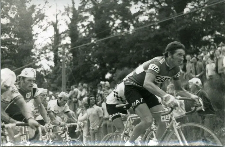 eddy-merckx-tdf-1977.webp