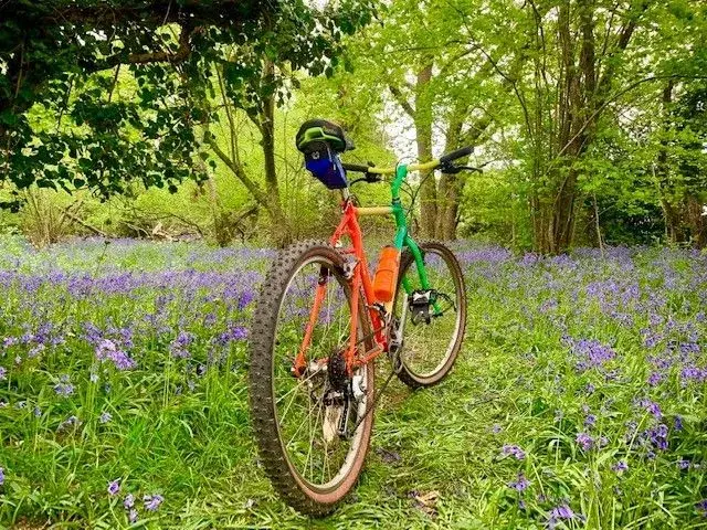 Cycle Ride.webp