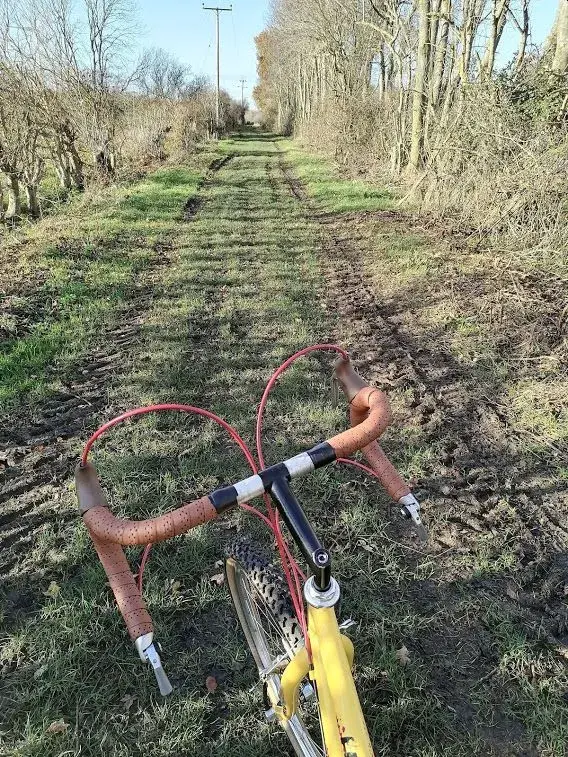 muddy track.webp