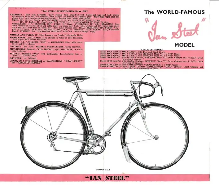 Ian Steel cat.webp
