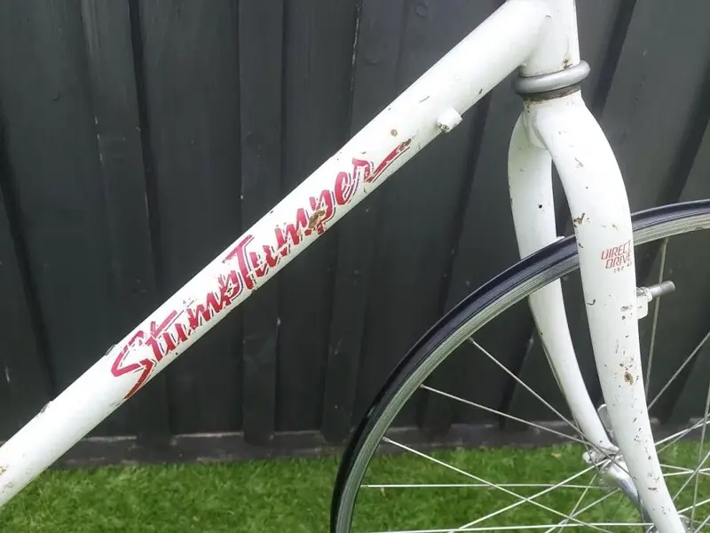 stumpjumper 90 start4.webp