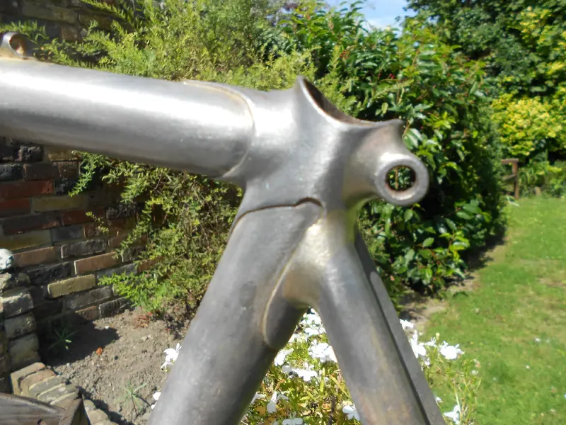 DSCN2534.webp