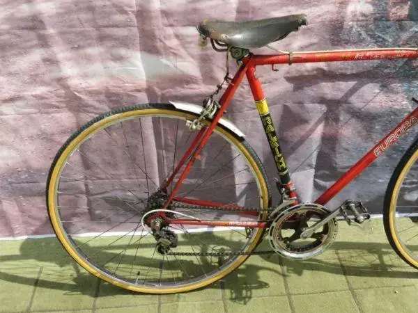 team_raleigh_europa_racing_bike_100_ono_tel_or_text_07943575702_6421403.webp
